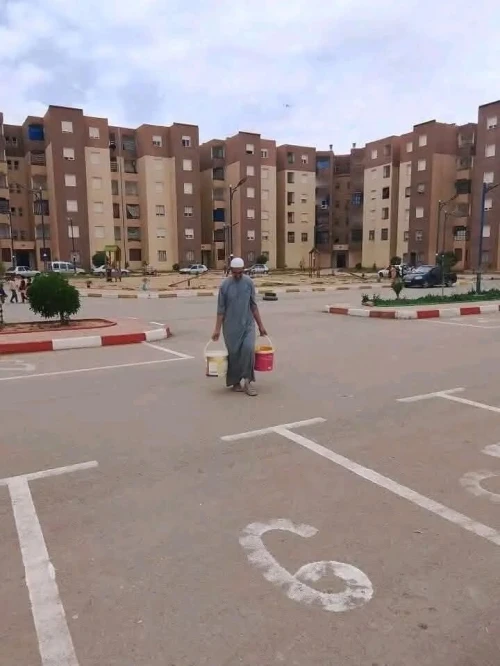 Vente Appartement F3 Tiaret Mahdia