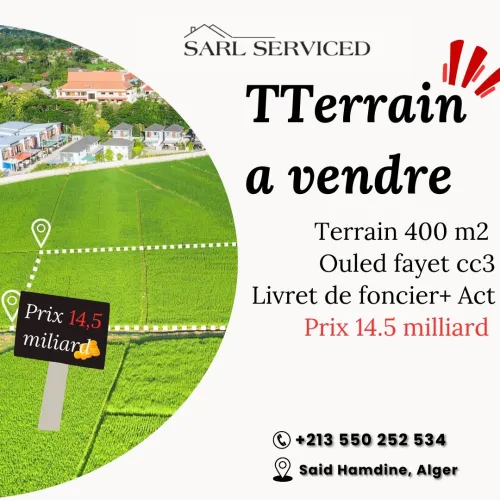 Vente Terrain Alger Ouled fayet