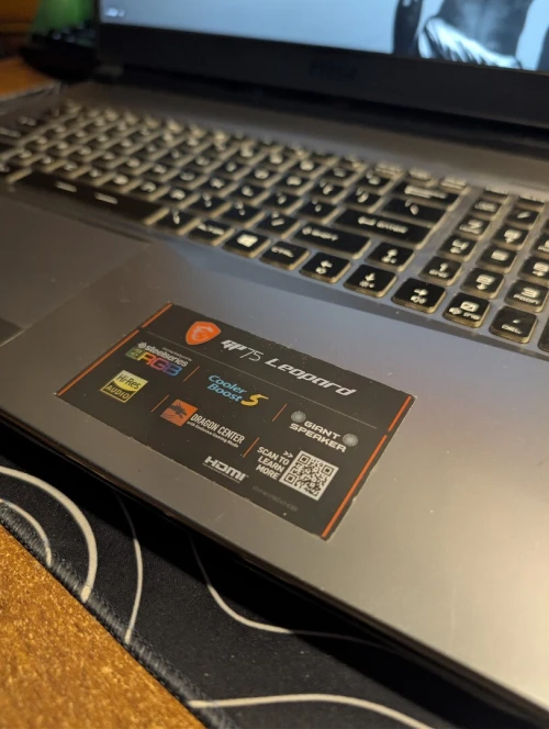 MSI leopard gb75 (Rtx2070)