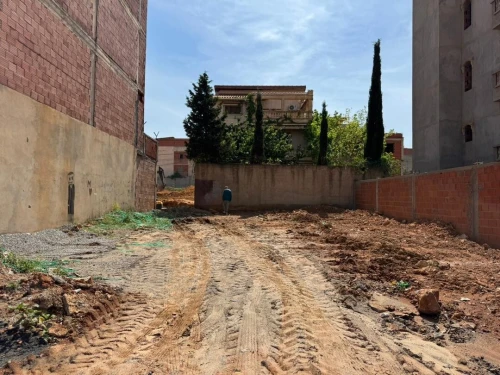 Vente Terrain Tipaza Bou ismail
