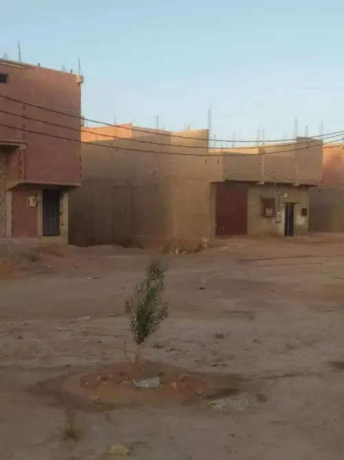 Vente Terrain Béchar Bechar