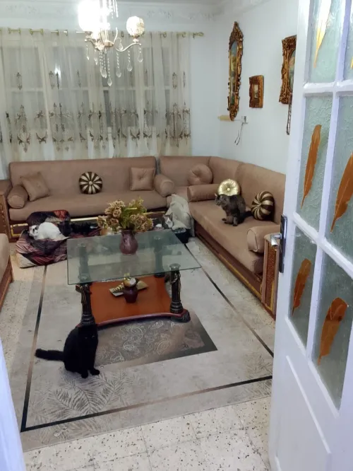 Vente Appartement F4 Alger Ain naadja