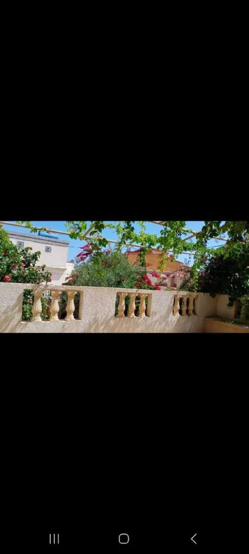 Location Bungalow F4 Oran Ain el turck