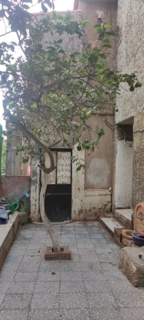 Location Villa Alger Bouzareah