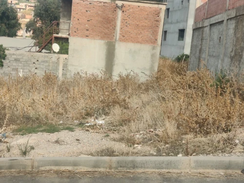 Vente Terrain Boumerdès El kharrouba