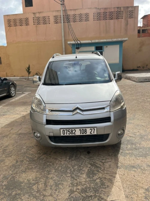 Citroen Berlingo 2008 Berlingo