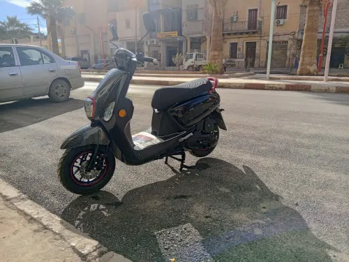 Cuxi Cuxi 2 2025