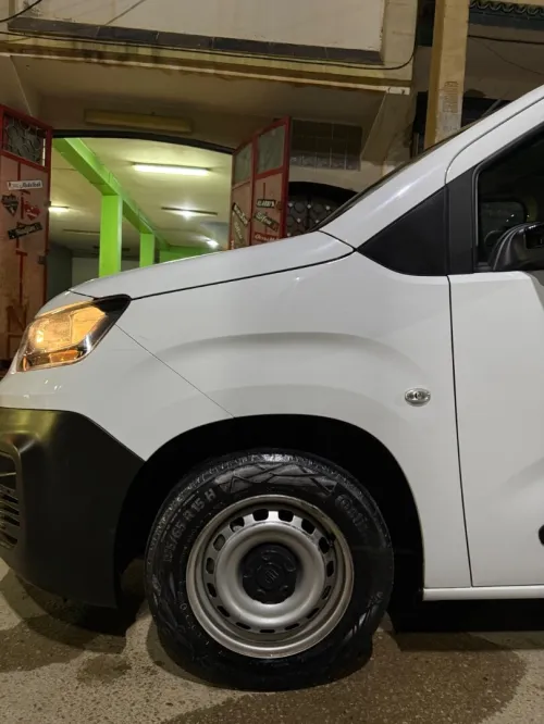 Fiat Doblo 2024 Professional
