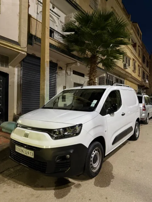 Fiat Doblo 2024 Professional