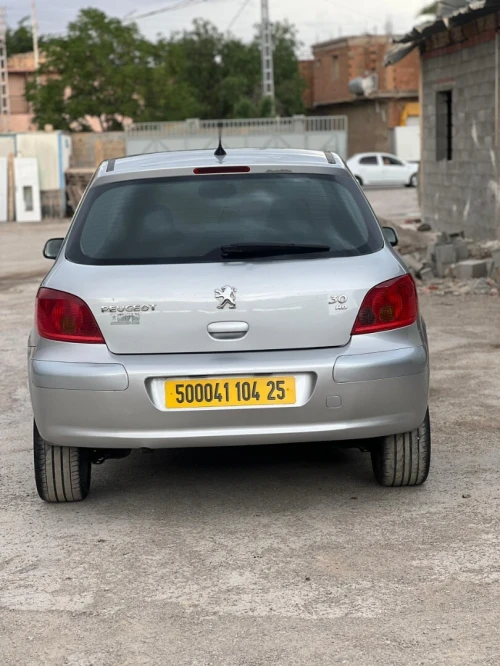 Peugeot 307 2004 XT