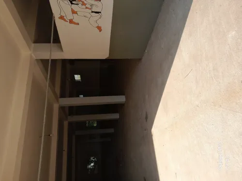 Location Local Jijel Emir abdelkader