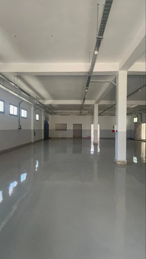 Vente Hangar Alger Reghaia