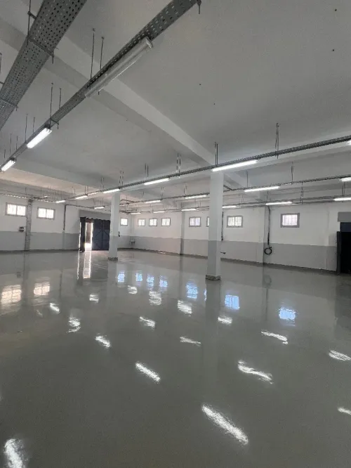 Vente Hangar Alger Reghaia