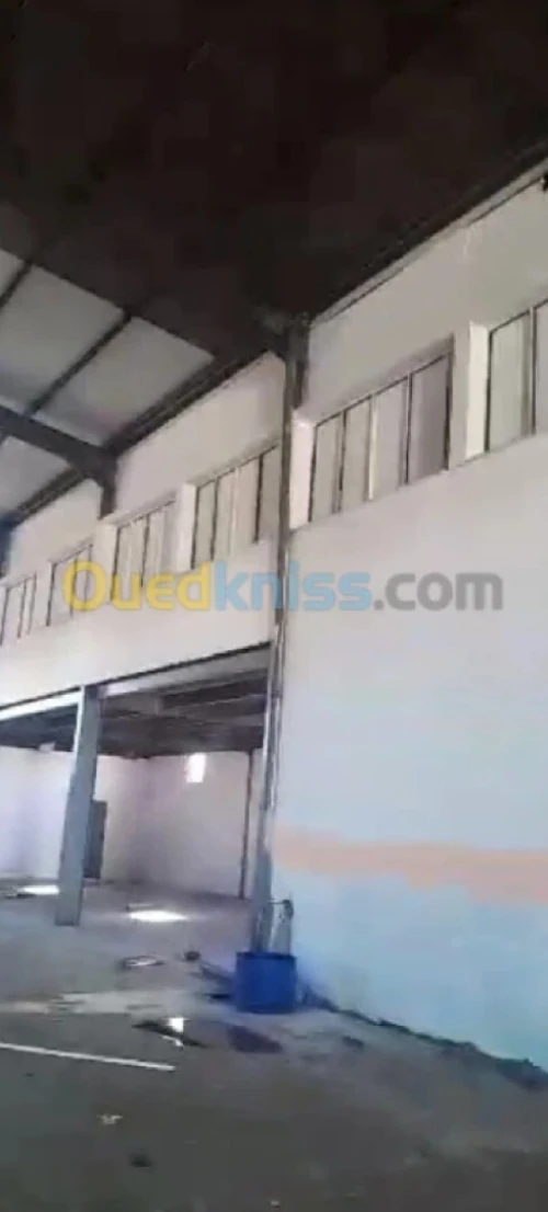 Location Hangar - Usine Alger Rouiba