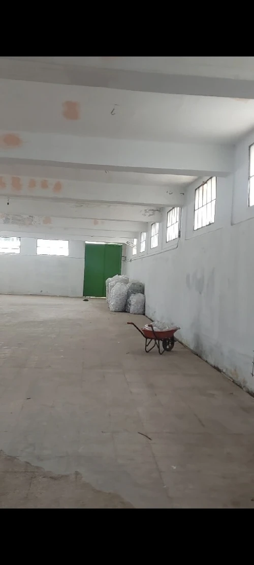 Location Hangar - Usine Alger Les eucalyptus