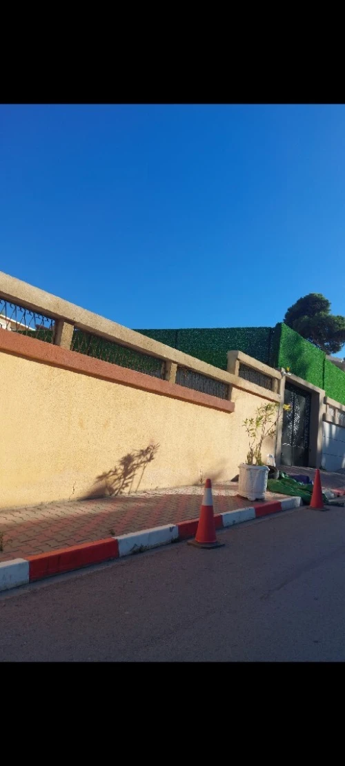 Vente Terrain Alger Mohammadia