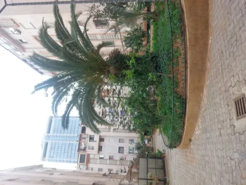 Vente Appartement F3 Alger Mohammadia