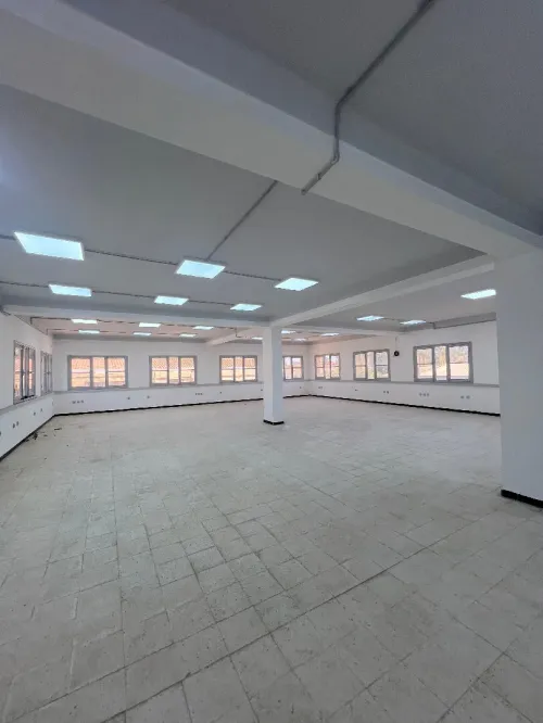 Vente Hangar Alger Reghaia