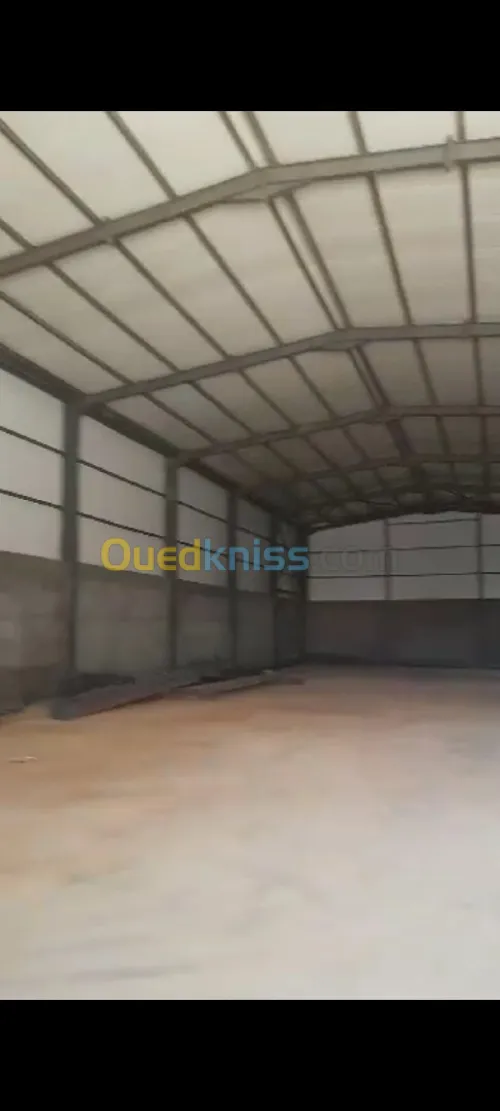 Location Hangar Alger Les eucalyptus