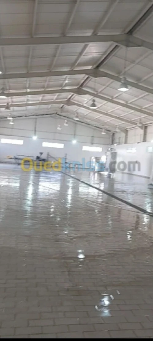 Location Hangar - Usine Alger Reghaia