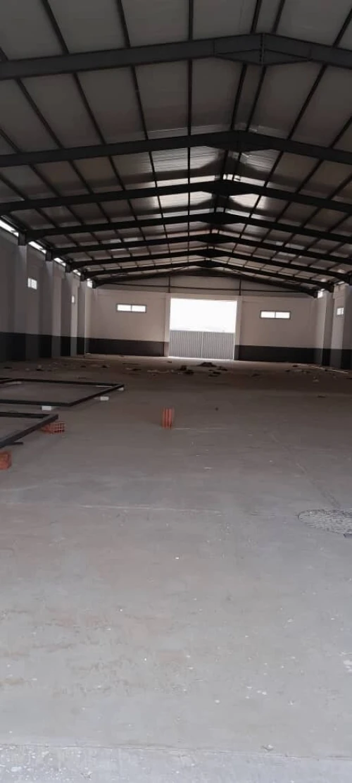 Vente Hangar Boumerdès Hammedi
