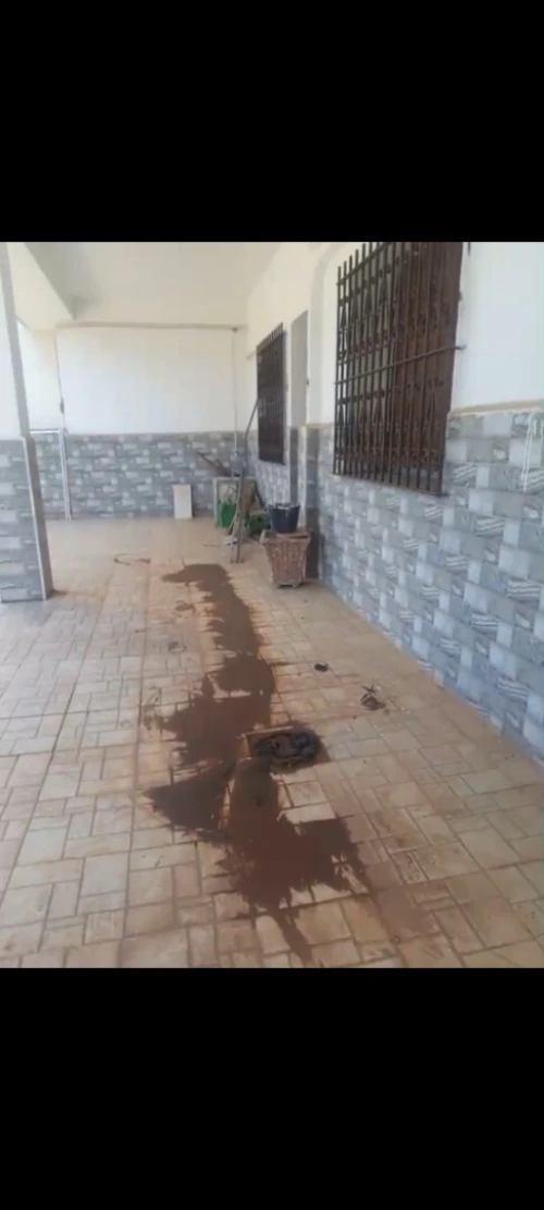 Vente Villa Alger El biar