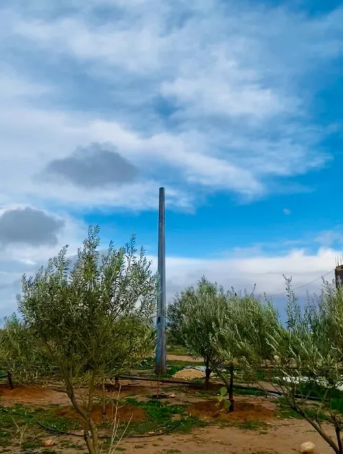 Vente Terrain Agricole Djelfa Hassi bahbah