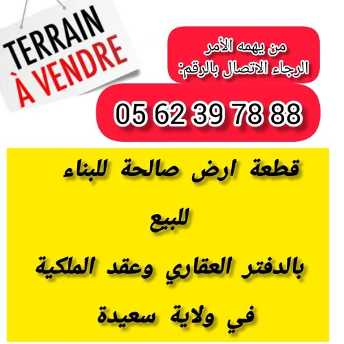 Vente Terrain Saïda Saida