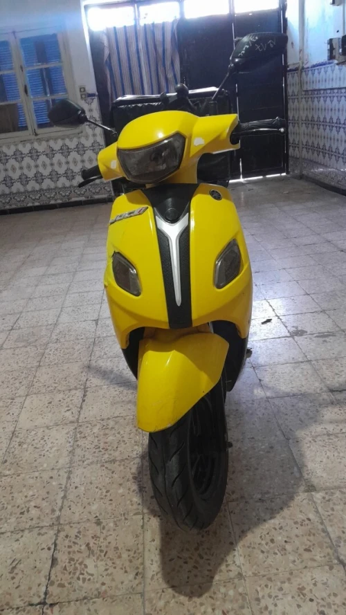 Vms Jocci 2023