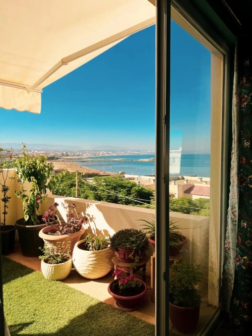 Location vacances Appartement F3 F4 Alger Staoueli