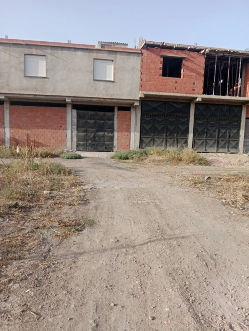 Vente Terrain Blida Ouled el alleug