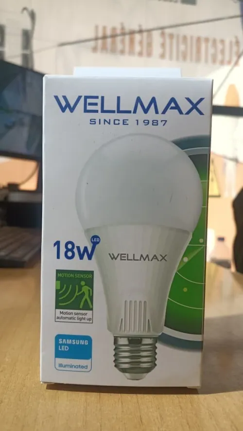 Lampe détecteurs de mouvement Wellmax 09w et 18w