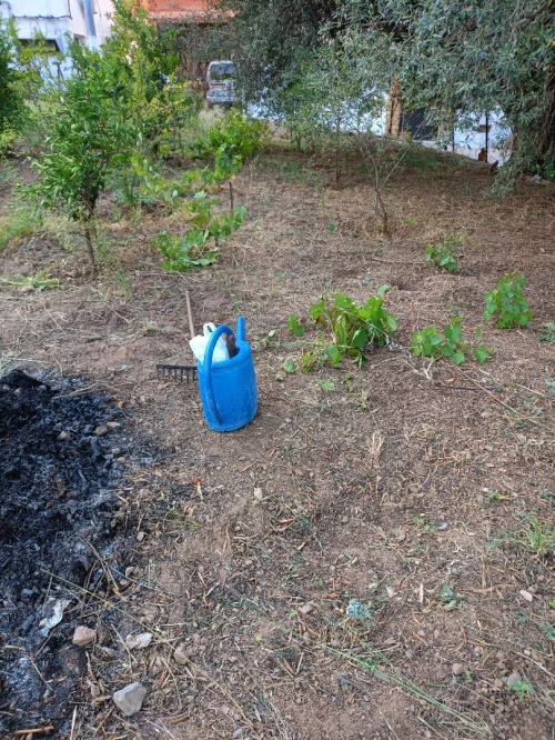 Vente Terrain Tizi Ouzou Tizi ouzou