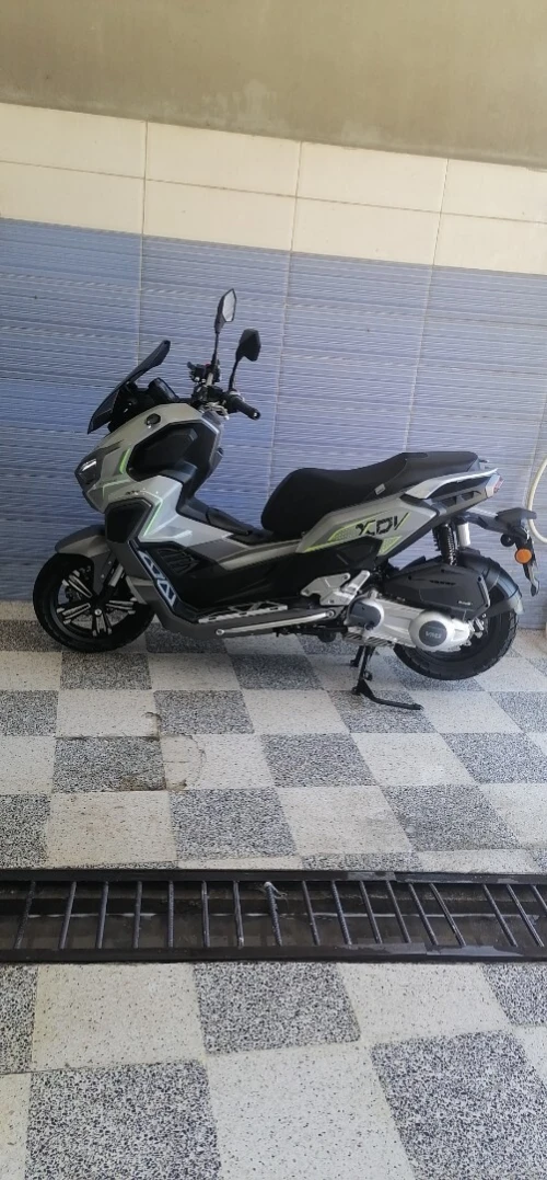 XDVI 300 Vmx 2023