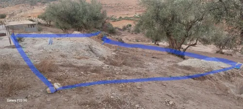 Vente Terrain Tlemcen Beni mester