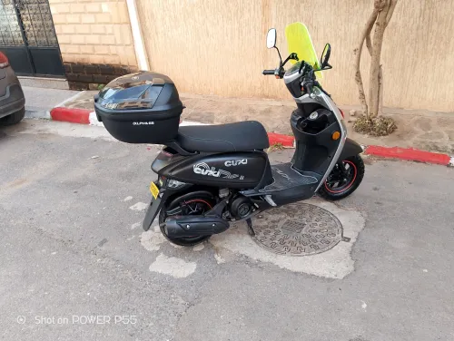 Vms Coxi 2024