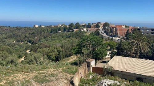 Vente Terrain Alger Bouzareah
