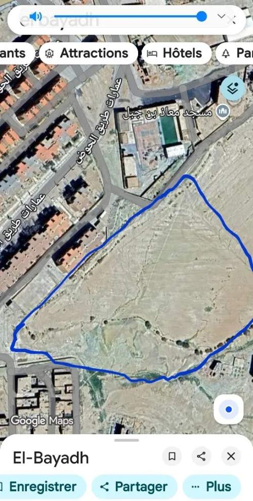 Vente Terrain El Bayadh El bayadh