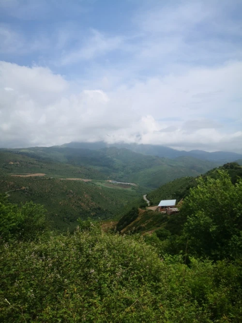 Vente Terrain Béjaïa El kseur