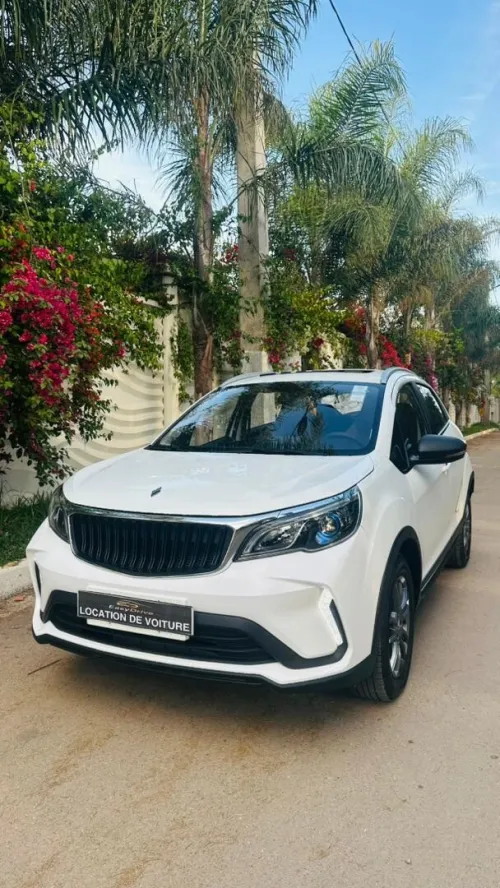 Location De Voitures - Easy Drive ORAN