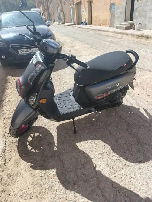Cuxi Cuxi2 2025