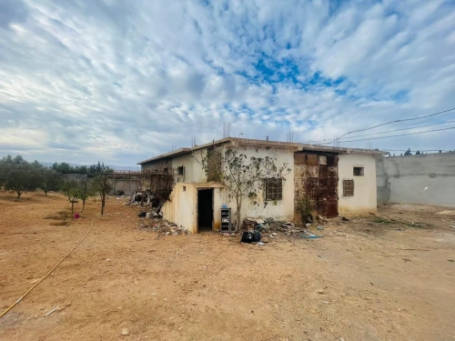 Location Terrain Agricole Tlemcen Remchi
