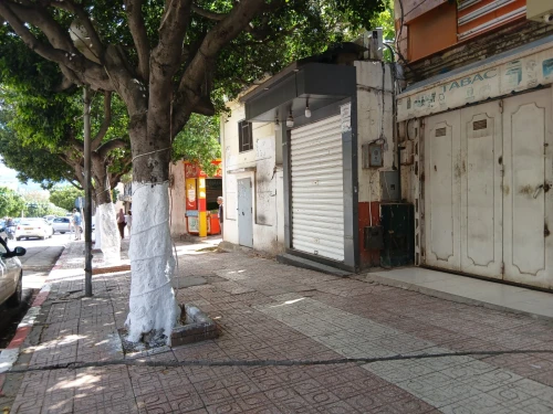 Location Local Guelma Guelma