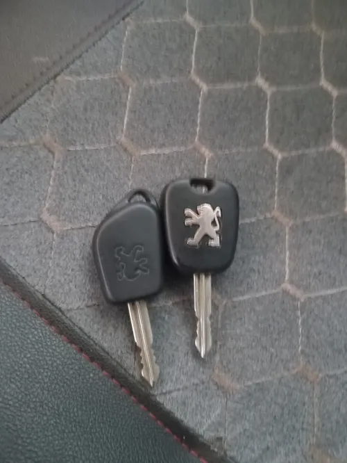 Peugeot Partner 2008 Partner
