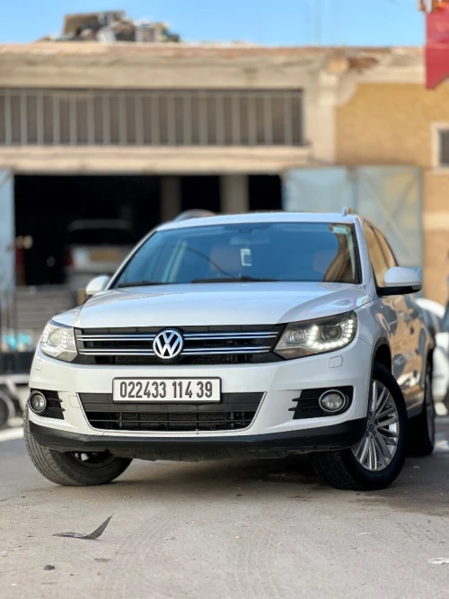 Volkswagen Tiguan 2014 Cup