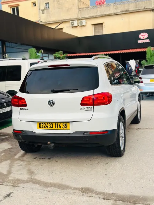 Volkswagen Tiguan 2014 Cup