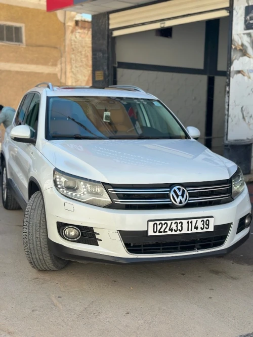Volkswagen Tiguan 2014 Cup
