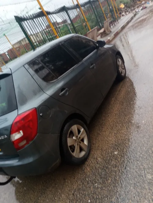 Skoda Fabia 2014 Fresh