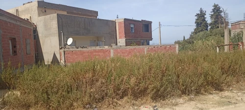 Vente Terrain Blida Ain romana