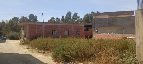 Vente Terrain Blida Ain romana